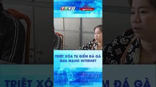 TRIỆT XÓA TỤ ĐIỂM ĐÁ GÀ QUA MẠNG INTERNET #shorts #shortvideo