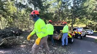 Prepare your property's defensible space with Napa County's Defensible Space Program