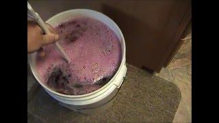 Making Blueberry Wine