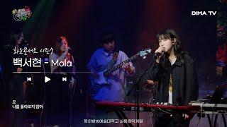 [동아방송예술대학교 실용음악계열]  백서현 - Mola｜DIMA TV｜〈화요콘서트 시즌7〉 Playlist