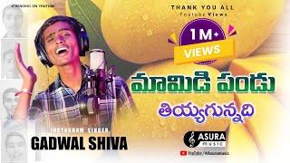 MAMIDI PANDU THIYYAGA ?|| GADWAL SINGER SHIVA SONG  #asuramusic #balu_k_asura #trendingvideo