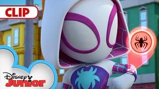 Aunt May's Mess | Marvel's Spidey and His Amazing Friends | @disneyjr