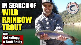 In Search of Sierra Wild Rainbow Trout