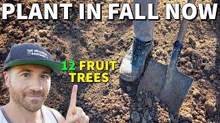 Don't Wait For Spring! These 12 Fruit Trees Should Be Planted In Fall NOW!