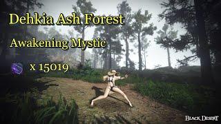 BDO Awakening Mystic Dehkia Ash Forest (Level 2 ,No Agris)15019 Trash/h검은사막 각성미스틱 데키아 잿빛숲 PVE(15min)