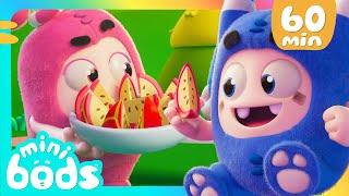 Fruits of Labour | Minibods | Rob the Robot & Friends - Funny Kids TV