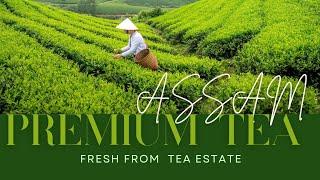 "Ukhaal Premium Assam Tea - Taste the Tradition, Trust the Quality!"