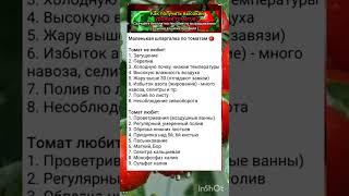 основные рекомендации по выращиванию томатов