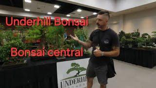 Bonsai Central vendor Underhill bonsai