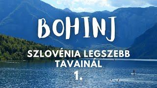 Szlovénia legszebb tavainál 1. | Bohinj | Bringábor kerékpártúra