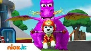 PAW Patrol | Die PAW Patrol-Welpen retten einen Drachen!   | Nick Jr. Deutschland