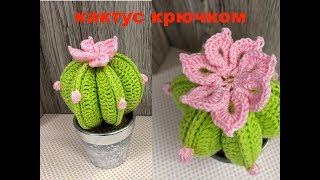 МК: КАКТУС + ЦВЕТОК КРЮЧКОМ.  CROCHET CACTUS