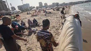 I Bought A Horse On Morocco’s Most Notorious Beach 