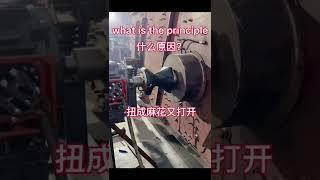 what is the principle