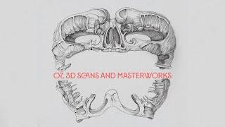 Anatomy With Purpose: A 3D Artist's Guide To What's Important. 07, 3D Scans and Masterworks