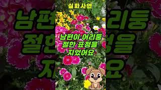 50년전 첫사랑이 찾아와서 하는 말에 남편이 충격받았습니다 #실화사연 #인생사연 #노후사연 #첫사랑