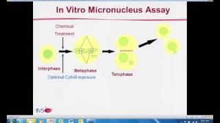 Reconstructed Human Skin Micronucleus Assay RSMN   A novel micronucleus assay in a 3D human skin mod