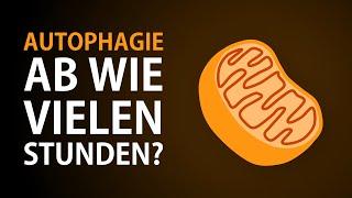 Wie lange fasten, um die Autophagie zu aktivieren? Ab wie vielen Stunden beginnt die Autophagie?