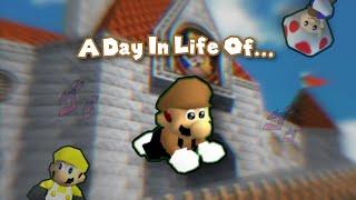 SMG8: A Day in Life of SMG8