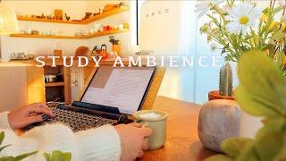 3-HOUR STUDY AMBIENCE  relaxing water sounds/ Cozy Morning DEEP FOCUS POMODORO TIMER/ Study With Me