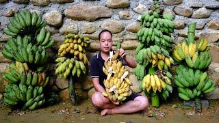 Living Off-Grid - till the soil. Grow vegetables and Harvesting A Lot Of Banana Goes To Market Sell