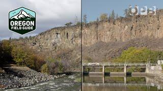 Before and after scenes of the Klamath River dam removal | Oregon Field Guide