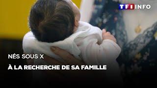 REPORTAGES - Nés sous X : à la recherche de sa famille