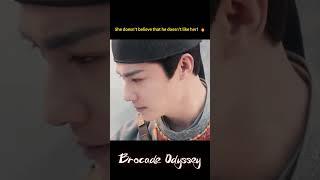 | Brocade Odyssey | YOUKU