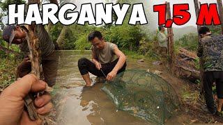 Ternyata Ada Pohon Seharga 1,5M Ada Di Kebun @jemodusuntv | Berburu Ikan Seluang Dengan Bubu Payung