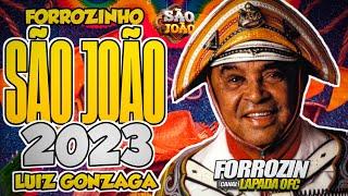 FORROZINHO SÃO JOÃO️LUIZ GONZAGA 2023🟢LUIZ O PODEROSO CHEFÃO #luizpoderosochefão #nordeste