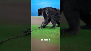 How does a bear trap work?