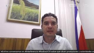 ¿Está viviendo Costa Rica una crisis de arroz?