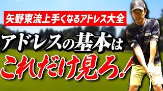 【何より重要なアドレス】これだけ見れば完璧！矢野東流ドライバー・アイアンのアドレス術大全