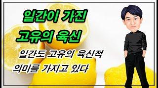 일간이 가지는 육신의 의미