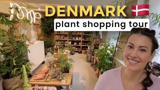 DENMARK Plant Shopping Tour & Haul - $3 Silver Sword Philodendron! Copenhagen, Denmark Indoor Plants