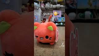 Meet the Meowchis!