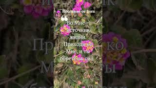 Послание от Бога
