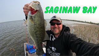 BASS FISHING the Saginaw Bay in northern Michigan 2023