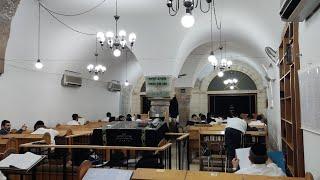 Never seen before | Orthodox Jews Study Torah in Study Hall