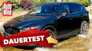 Mazda CX-5 (2019) | Wie steht's um die Haltbarkeit des CX-5? | Dauertest mit Tim Dahlgaard