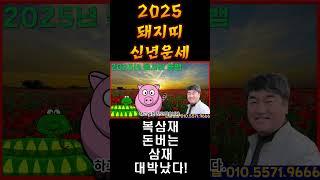 2025 돼지띠 신년운세 사주상담  010.5571.9666 / 재물 운명 사주팔자 금전운 궁합 애정 운세 #2025신년운세 #돼지띠신년운세 #돼지띠운세
