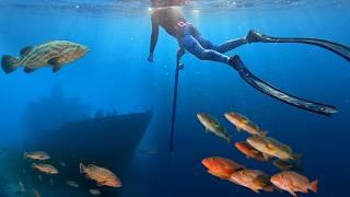 Spearfishing INSANE SHIPWRECKS Offshore! Fighting GIANT GROUPERS! Catch n Cook