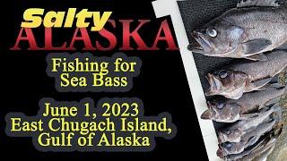 Sea Bass Fishing - Gulf of Alaska, near East Chugach Islands, includes underwater footage!