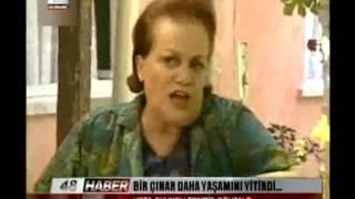 BİR ÇINAR DAHA YAŞAMINI YİTİRDİ...