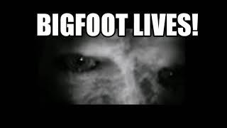 Bigfoot Lives! | Real Albino Bigfoot! | Bigfoot Sightings!