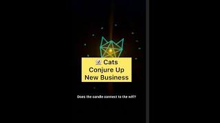 Cats Conjure Up New Business