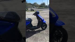 WILD HOGS SCOOTERS AND MOTORSPORTS WINTER GARDEN DEALER