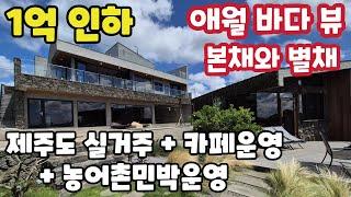 [본채+별채 매매] 1억인하~ 실거주하며 카페와 농어촌민박을 동시에~ 막힘없는 시원한 바다뷰의 애월읍 어음리 본채와 별채가 있는 전원주택 매매 #제주도전원주택 #제주도단독주택