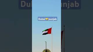 dubai punjab #liveshaheedisamagamgurudwarachamkaursahib #guru #mela #devotionalsong