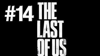 The Last Of Us | 5 Star Hotel | #14